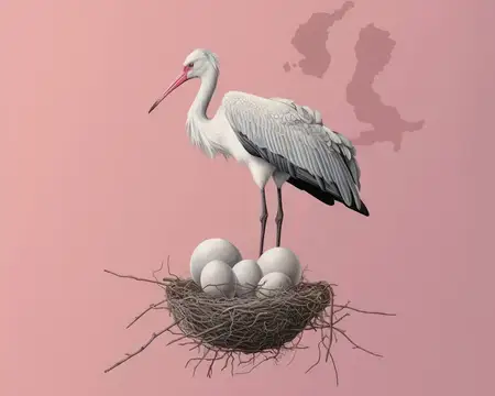 Лето, клюв, животные, весна, символ, молодой, гнездо, фон, черный, белый, крылья, дикая природа, красота, аист, синее небо, природа, фон, красный, перо, дикая природа, птицы, фауна, на улице