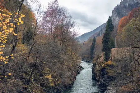 Горы, осенний лес, река, пейзаж, природа, путешествия