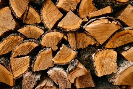 Крупный план деревенской поленницы с вырезанным на ней словом «wood», создающий естественную и органичную атмосферу