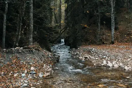 Осенний лес, природа, горы, река, свежий воздух, путешествия, туризм