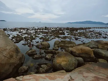 Мирная прибрежная сцена с изрезанным скалистым берегом, спокойной водой и горами вдалеке