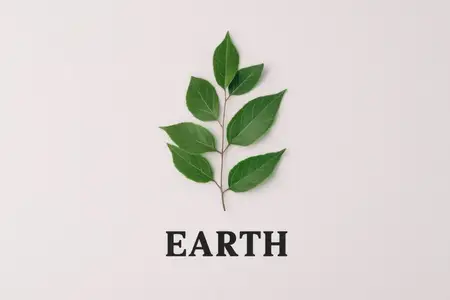 Минималистичная композиция с веткой зеленого листа над словом EARTH, подчеркивающая природу, устойчивость и экологическую осведомленность в свежем и современном стиле