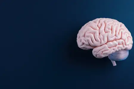 Сцена передает любопытство, изучение, память и инновации в спокойном, клиническом настроении, идеально подходящем для презентаций об образовании, исследованиях, здравоохранении или технологиях