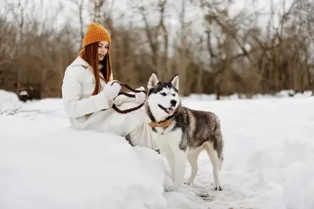 Весёлая женщина играет в снегу с собакой, наслаждаясь дружбой и зимними каникулами