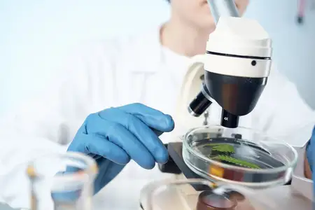 Женщины-лаборанты работают с микроскопом, проводя профессиональные медицинские научные исследования