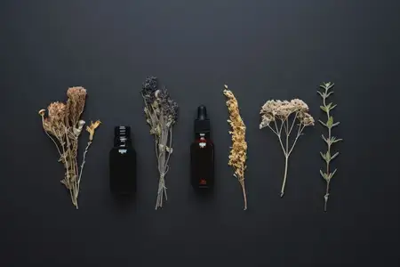 Композиция в стиле flat lay из различных сухих трав и черных флаконов с эфирными маслами на гладкой темной поверхности