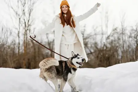 Женщина с собакой, зимний пейзаж, прогулка, дружба, зимние каникулы