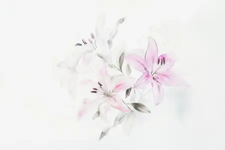 Красивые розовые и белые лилии на светлом фоне, передающие суть элегантности и цветочной красоты
