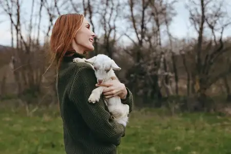 Это изображение запечатлевает тёплую, интимную связь между человеком и козлёнком среди природы и полей