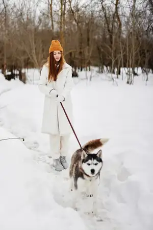 Счастливая молодая женщина играет в снегу с собакой, наслаждаясь веселой дружбой и свежим воздухом