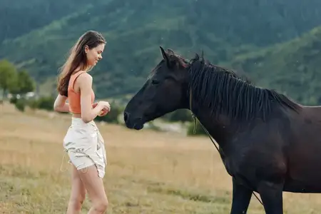 Женщина нежно взаимодействует с лошадью в открытом поле, наслаждаясь тесной связью с природой и общением с животным