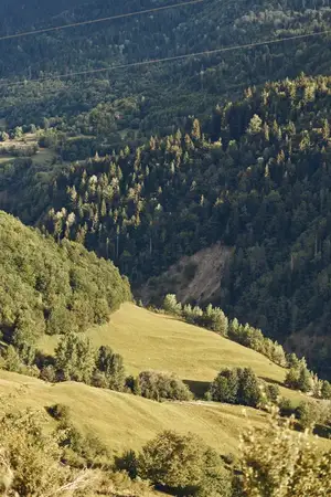 Пейзаж с холмами, лесом, долиной, лугом, природой, солнечным светом, деревьями, сельской местностью, зеленью