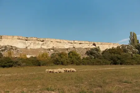 Овцы пасутся в поле на фоне величественного скального образования