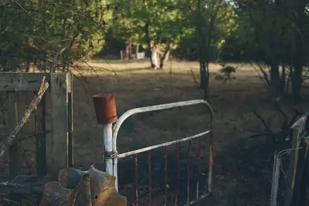 Природа загородной местности, свежий воздух