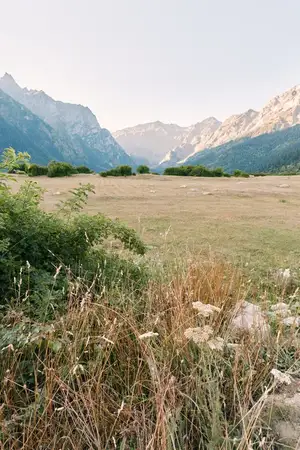 Луг, горы, долина, поле, полевые цветы, трава, пейзаж, небо, запечатленные на восходе солнца над бескрайней травянистой равниной, ведущей к лесистым склонам и суровым альпийским хребтам в спокойном…