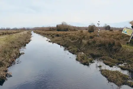 Речной пейзаж в сельской природе: медленный водный путь с травянистыми берегами и тростником, далекие горы под бледным небом