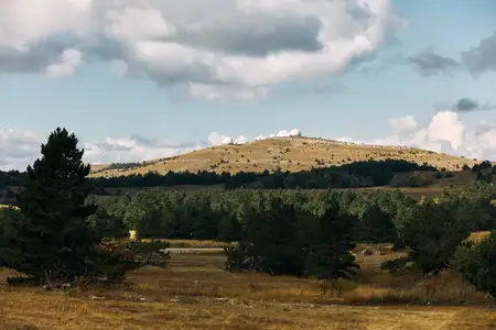 Спокойный сельский пейзаж с коровой, пасущейся на сочном лугу, холмистыми грядами и живописными облаками в небе