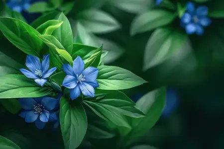 Цветущая безмятежность: крупный план свежих, красочных фиолетовых цветов плюмбаго на ярком зеленом садовом лугу