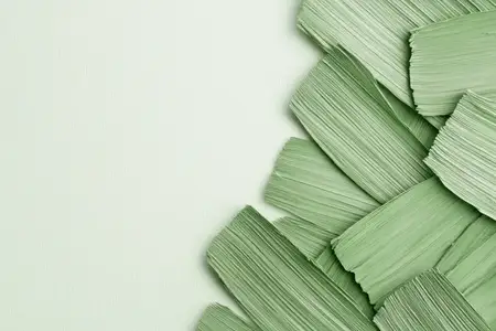 Мягкое, спокойное настроение со свежим зеленым оттенком и минималистичной композицией
