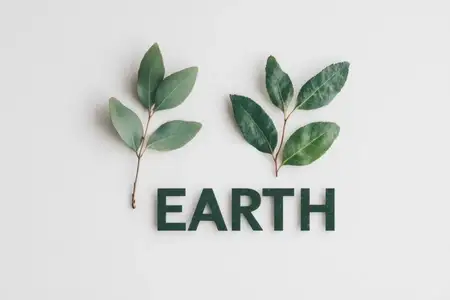 Эта композиция включает пышные зеленые листья рядом со словом EARTH, символизируя экологичность и связь с природой