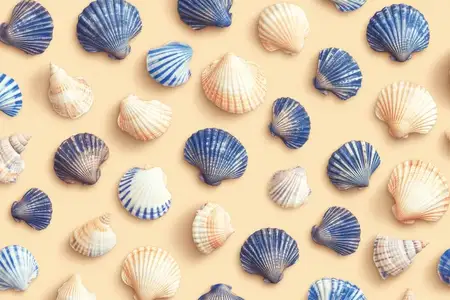 Яркая композиция из морских ракушек различных форм и цветов на песчаном фоне, передающая суть пляжной жизни и прибрежной красоты