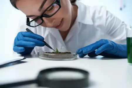 Женщина в белом халате изучает растения, занимается микробиологией