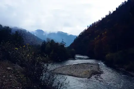 Лес, горы, осень, река, путешествие, природный пейзаж