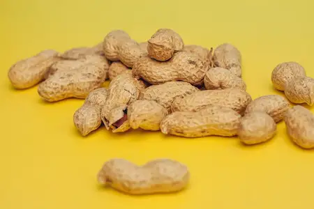 Арахис в скорлупе, пивная кружка, закуска, алкоголь на жёлтом фоне