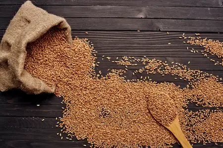 Вид на крупу сверху — приготовление органического продукта, еда