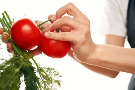 Зелень с помидорами, ингредиенты для приготовления салата, органические продукты