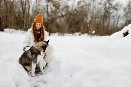 Женщина с собакой гуляет, играет и отдыхает на снегу во время зимних каникул
