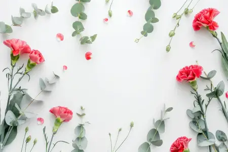 Красивая композиция из розовых гвоздик и ветвей эвкалипта на однотонной белой поверхности с разбросанными лепестками, создающая свежий и элегантный вид
