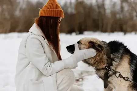 Портрет женщины в зимней одежде, выгуливающей собаку на снегу, зимние каникулы