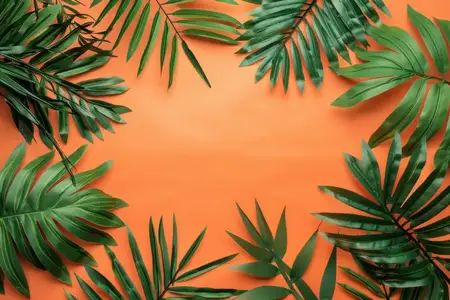 Тропические пальмовые листья на ярком оранжевом фоне со свободным пространством для текста и видом сверху для тем путешествий, моды и красоты