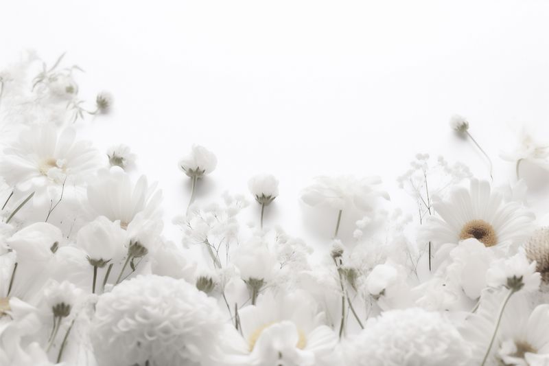 beautiful flower spring celebration background floral nature blossom art wedding white. Generative AI.