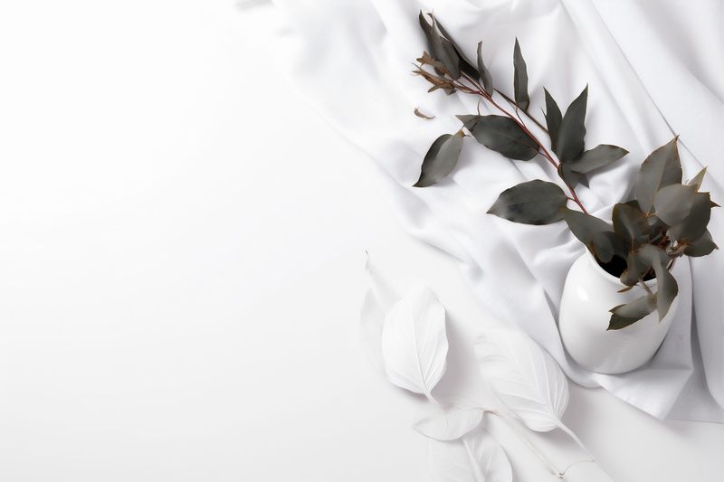 background blossom white nature flower celebration wedding beautiful natural floral spring. Generative AI.