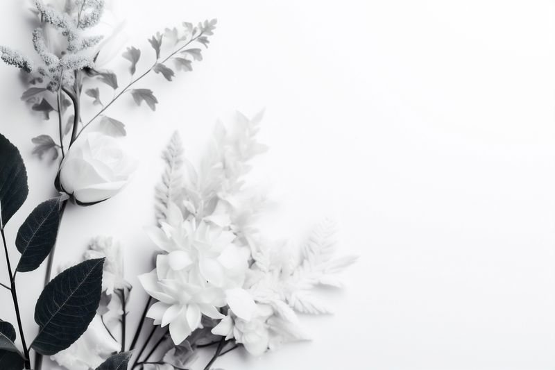 wedding day celebration mother's flower spring nature white background blossom beautiful floral. Generative AI.