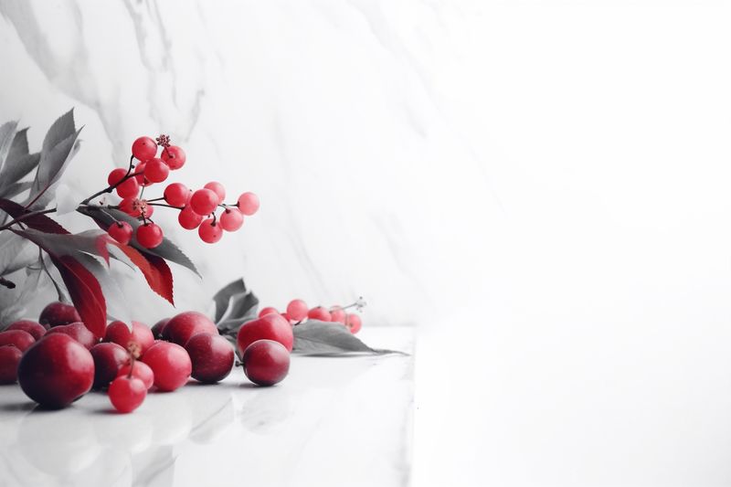 beauty white nature background beautiful floral celebration flower wedding spring blossom. Generative AI.