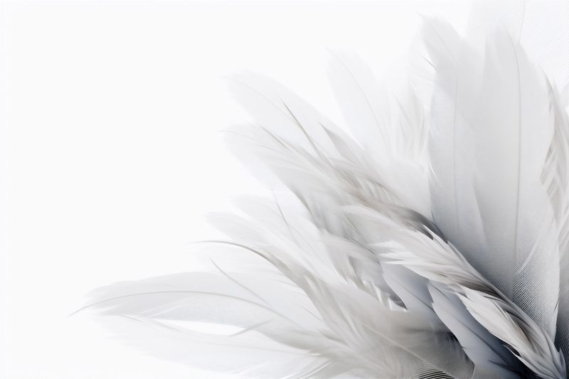 nature floral beautiful flower celebration background white blossom card wedding spring. Generative AI.