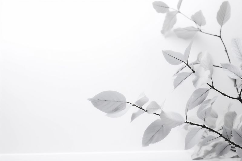 floral spring flower blossom celebration space white nature beautiful background wedding. Generative AI.