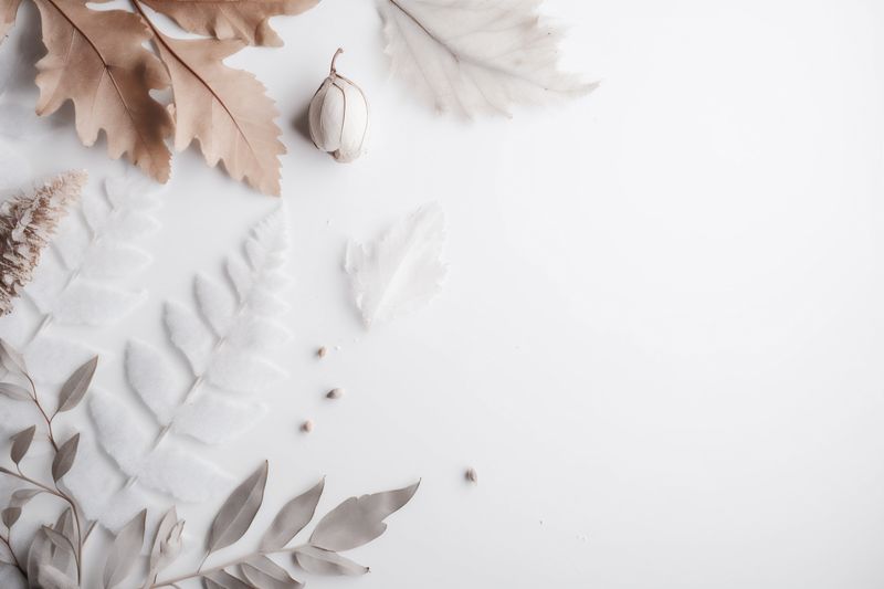 flower wedding white celebration blossom beautiful background nature floral summer spring. Generative AI.