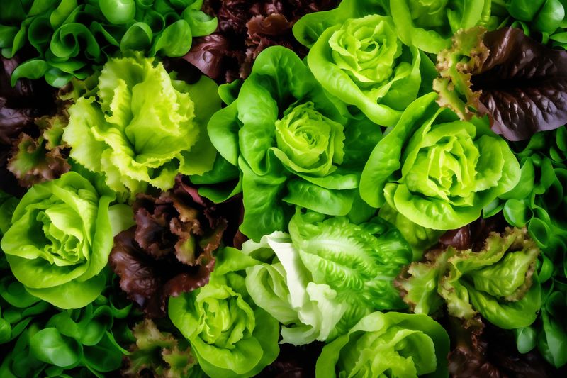 food salad diet vegetarian background dark green vegetable top healthy fresh. Generative AI.