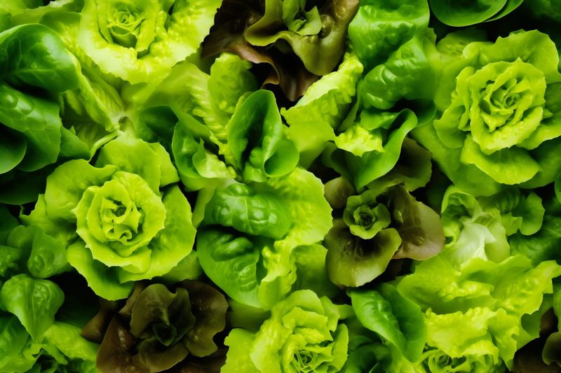 healthy black salad background food vegetarian fresh green vegetable dark diet. Generative AI.