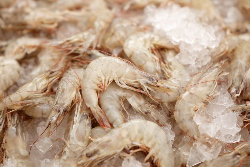 Close-up of fresh raw shrimp piled on crushed ice, highlighting translucent shells and antennae in a seafood market display, emphasizing freshness and cold storage.