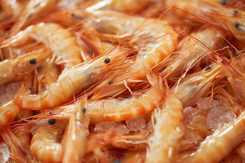 Close-up of fresh raw shrimp piled on crushed ice, showcasing orange shells, antennae and glossy texture. Seafood market display highlighting freshness and natural detail.