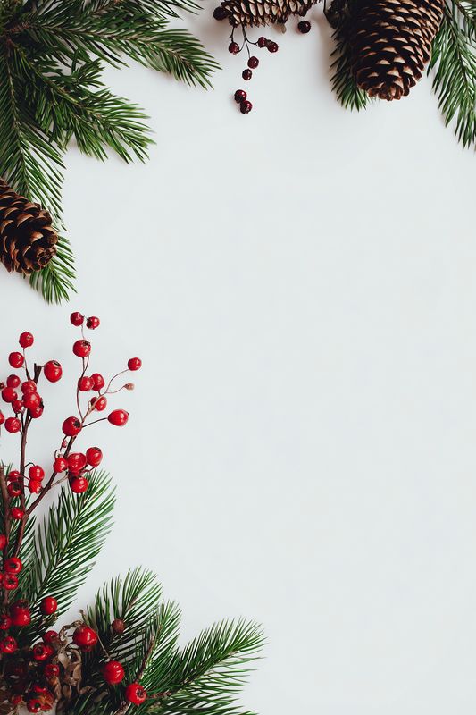 Minimal holiday flat lay with evergreen branches, pine cones and red berries arranged around a white background, offering seasonal frame space for text or festive composition.