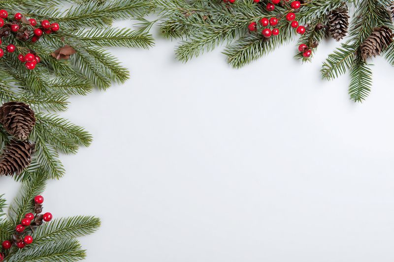 Festive winter frame of fir branches, pinecones and red berries arranged on a clean white background, creating a seasonal border with rustic natural texture and negative space.