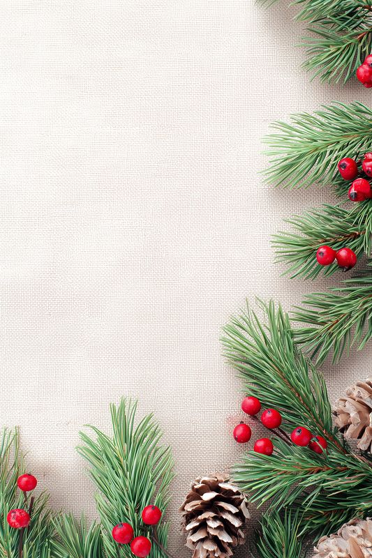 Evergreen pine branches, pine cones and red berries arranged along a textured linen background, forming a rustic holiday frame with generous empty space for seasonal greeting or text.