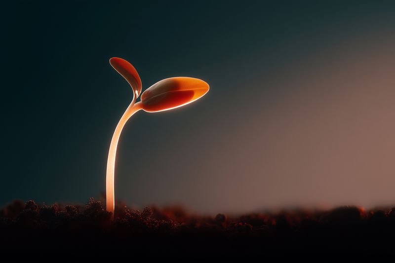 Close-up of a delicate seedling emerging from dark soil, backlit by warm light. The young sprout shows fresh growth and fragile leaves, symbolizing new life and hope.