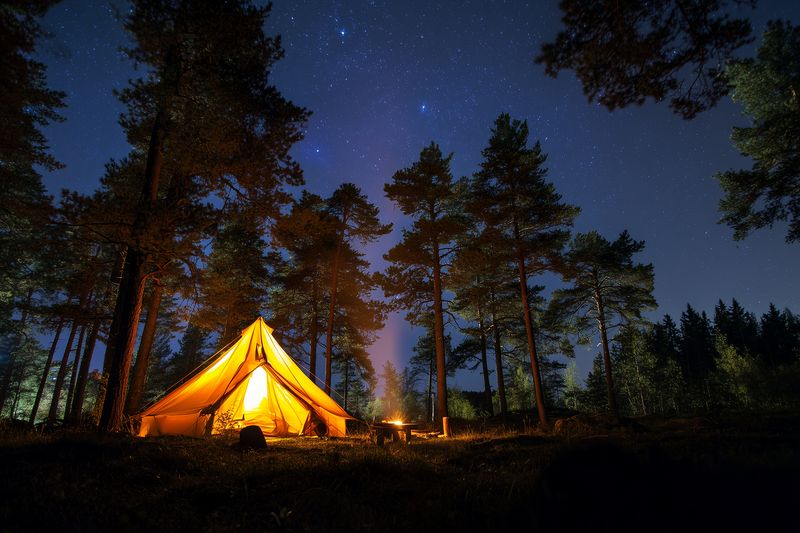 Glowing tent pitched in a dark forest clearing under a starry night sky, warm interior light contrasting with cool moonlit pines, creating a peaceful outdoor camping atmosphere.
